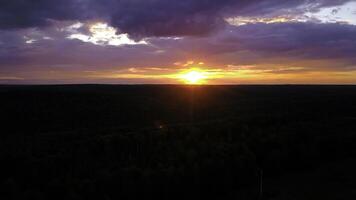 Purple sunset. Clip.The view from the drone is a purple-pink sky and the tops of fir trees with green branches. photo