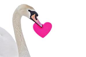 AI generated white swans and pink hearts for valentine's day.AI generative photo