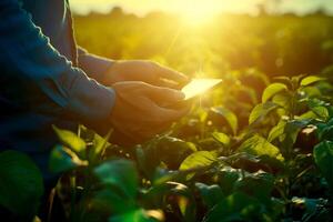 AI generated a farmer standing in field with table. Generative AI. photo