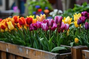 AI generated tulip flowers on wooden window box in garden background, generative ai photo