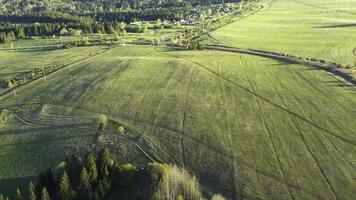 Top view of beautiful green fields and forests on sunny day. Clip. Green fields with roads and village in forest parts. Landscape of village road and houses with green fields and forests in summer photo