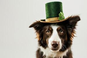 AI generated a dog portrait with a hat for St. Patrick's Day, in the style of fantasy illustration. Generative AI photo