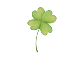 main tiré aquarelle illustration avec quatre feuilles trèfle isolé sur transparent Contexte. symbole de bien chance, le irlandais vacances de st. patrick's journée sur Mars 17e png