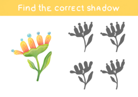 Find correct shadow of flowers. Educational game to Find 2 same objects. Choose correct answer. Printable worksheet, learning study page nursery childish activity for children s books and magazines png