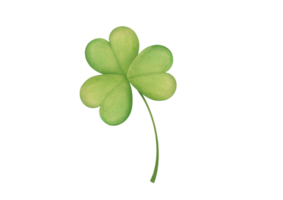 hand drawn watercolor illustration with clover isolated on transparent background. symbol of good luck, the Irish holiday of St. Patrick's Day on March 17th png