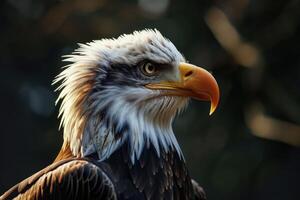 ai generado cerca arriba águila en difuminar antecedentes natural . ai Generacion foto