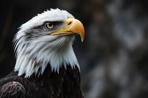 ai generado cerca arriba águila en difuminar antecedentes natural . ai Generacion foto