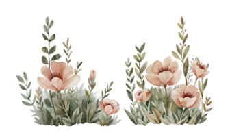 Watercolor floral arrangements with pink flowers. Hand drawn illustration. png