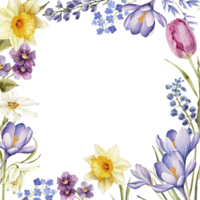 spring frame with crocuses and forget-me-not flowers, watercolor illustration png