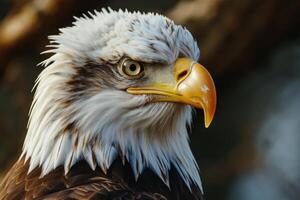 ai generado cerca arriba águila en difuminar antecedentes natural . ai Generacion foto