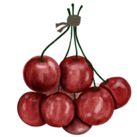 Bunch of red cherries with green leaves png