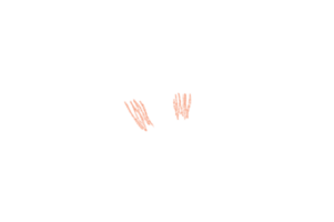 hand- getrokken krijt png