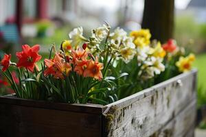 AI generated flowers on wooden window box in garden background, generative ai photo