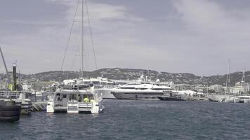 View of the moored white ships. Action.The wind-tossed sea with a view of ships and boats and huge green mountains and a blue background are visible. photo