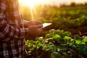 AI generated a farmer standing in field with table. Generative AI. photo