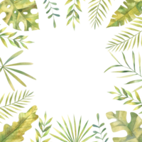 jungle frame with tropical leaves png