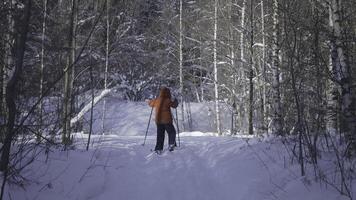 un chico esquiar en el invierno bosque.creativo. un pequeño niño quien camina mediante el bosque en un invierno nieve bosque en el tiempo de día. foto