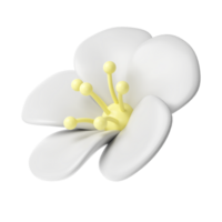 3d White spring cherry blossom flower transparent. Including petals, and bud. Graphic cute element design for web, greeting card png