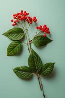 ai generado rejuvenecer con elegancia ginseng promocional bandera para bienestar foto