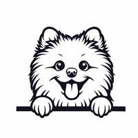 AI generated Pomeranian dog peeking isolated illustration Pro vector