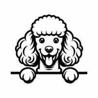 AI generated Elegante Poodle dog peeking isolated illustration Pro vector