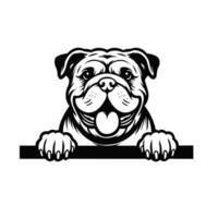 AI generated Bulldog dog peeking isolated illustration Pro vector