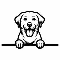 AI generated Labrador Retriever dog peeking isolated illustration Pro vector