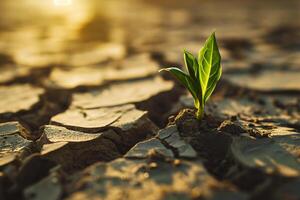 AI generated Green seedling growing from dry cracked earth. Global warming concept. photo