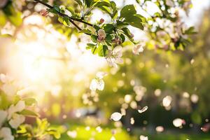 AI generated Spring background of a branch of a blossoming apple tree with falling petals, blurred background, backlight photo