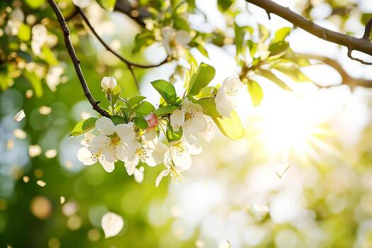 AI generated Spring background of a branch of a blossoming apple tree with falling petals, blurred background, backlight photo