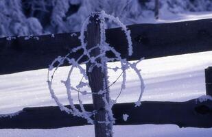 a fence with barbed wire on it photo