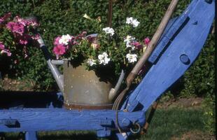 a blue wooden wagon with flowers in it photo