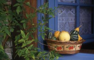 a basket of fruit on a window sill photo