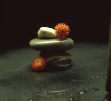 a stack of stones and flowers on a table photo