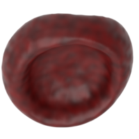 röd cell isolerat på bakgrund. 3d tolkning - illustration png