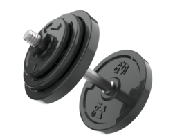 Dumbbell isolated on background. 3d rendering - illustration png