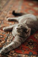 AI generated Whiskers and Whimsy A Glimpse into the Daily Adventures of a Cat photo