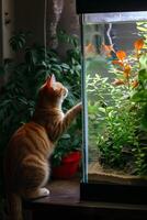 AI generated Whiskers and Whimsy A Glimpse into the Daily Adventures of a Cat photo