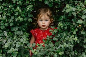 AI generated Springtime Chic Adorable Toddler in an Elegant Red Floral Dress photo