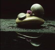 a rock with two stones and a flower on it photo