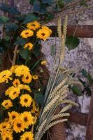 a wooden chair with flowers and wheat photo