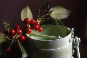 a close up of a green container with red berries photo