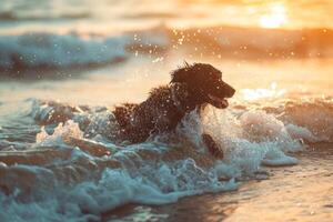 AI generated Dog runs and plays along a beach. Dog splashes in the waves. Generative AI photo