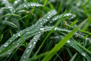 AI generated Closeup of water droplets on a green grass. Generative AI photo