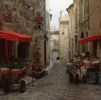 a cobblestone street photo