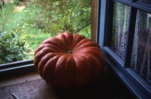 a large pumpkin sitting on a window sill photo