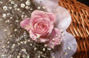 a pink rose is sitting in a basket with baby's breath photo