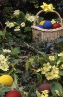 a basket with eggs in it sitting on the ground photo