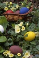 colorful easter eggs in a basket photo