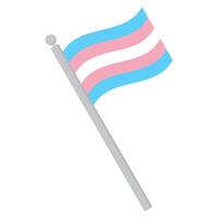 Transgénero orgullo bandera en forma. trans orgullo bandera. vector